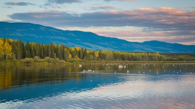 bear river migratory bird refuge