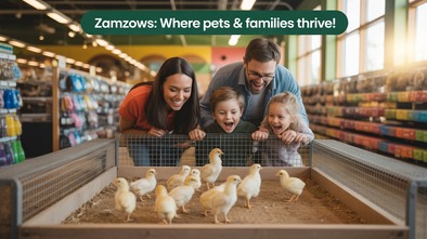 zamzows