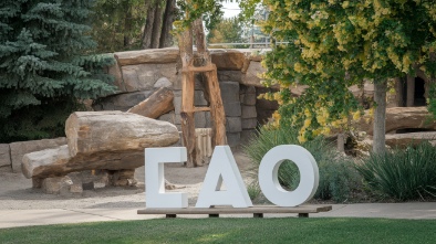 zoo idaho